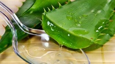 El aloe aumentará la potencia de los hombres